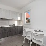 Tonka Apartament